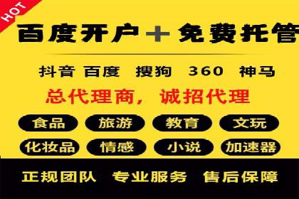 百度竞价赚钱技巧：案例分析